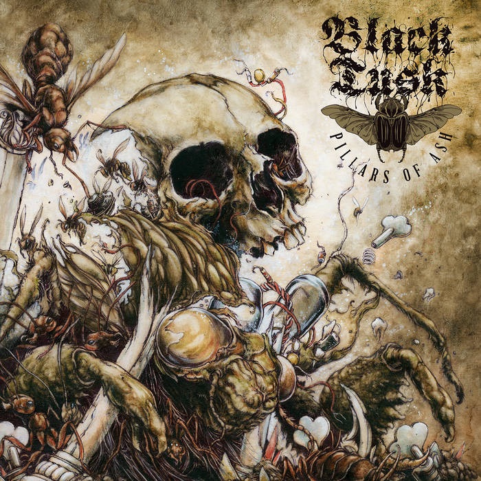 Album cover of Black Tusk's Pillars of Ash featuring a decaying skull surrounded by insects and surreal organic forms.
