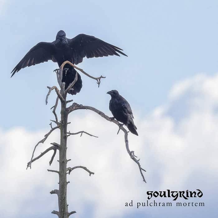 Soulgrind Ad Pulchram Mortem album artwork featuring two black ravens perched on the branches of a bare tree